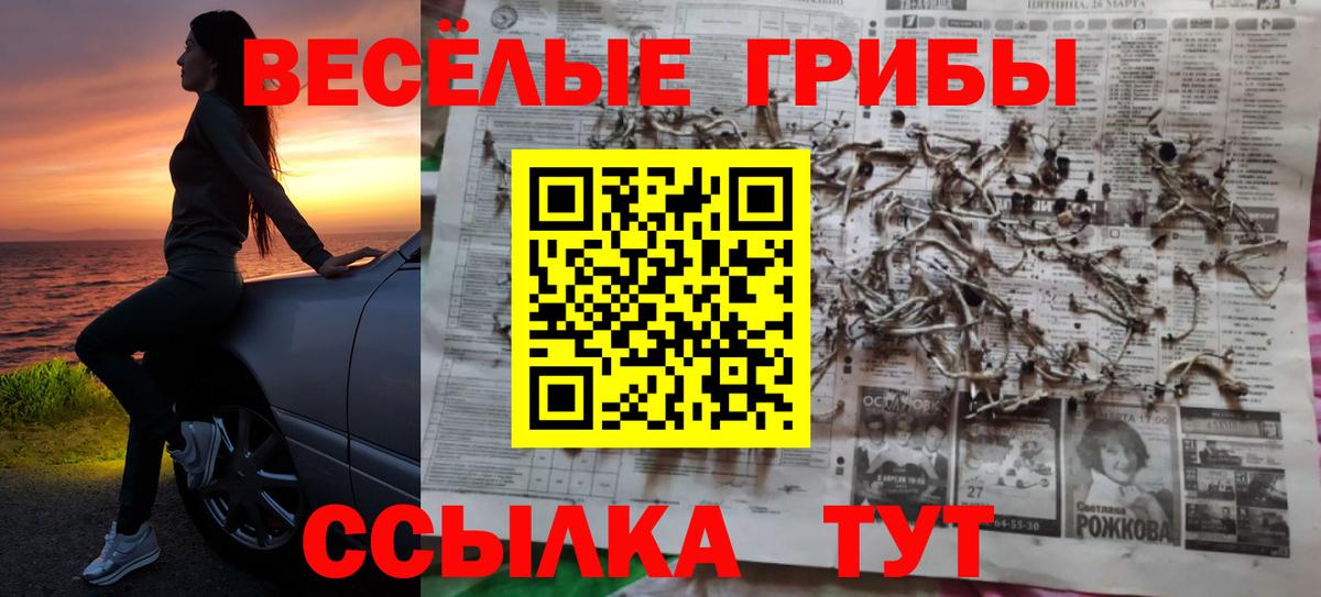 Галлюциногенные грибы Psilocybe Черногорск