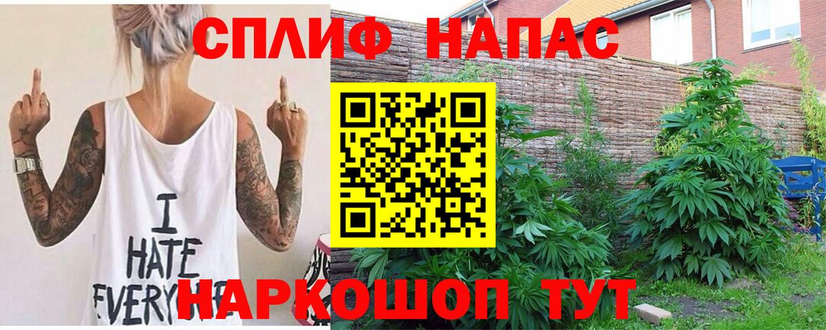 Каннабис семена Черногорск